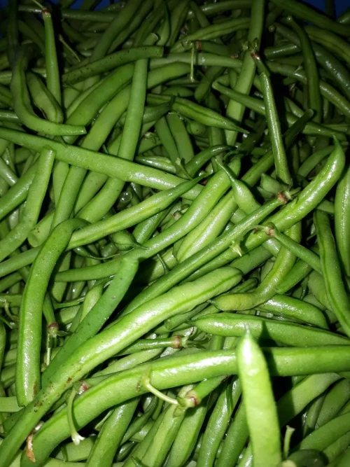 Bij Andries Groenten & Fruit