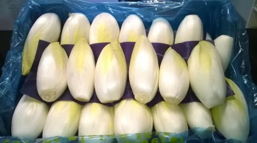 Bij Andries Groenten & Fruit