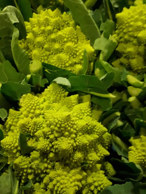 Bij Andries Groenten & Fruit