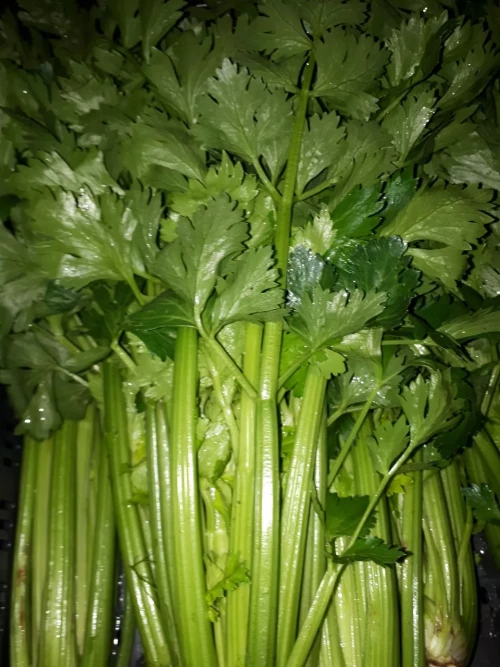 Bij Andries Groenten & Fruit