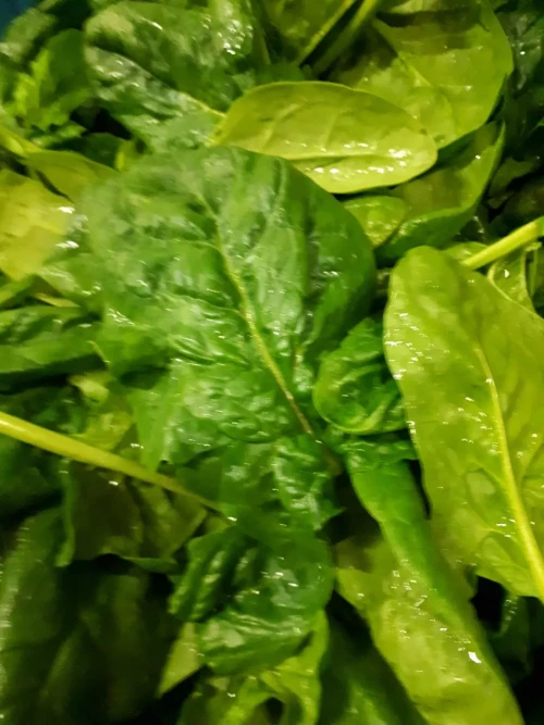 Bij Andries Groenten & Fruit