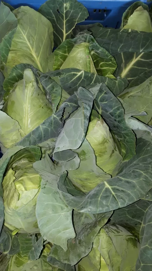 Bij Andries Groenten & Fruit