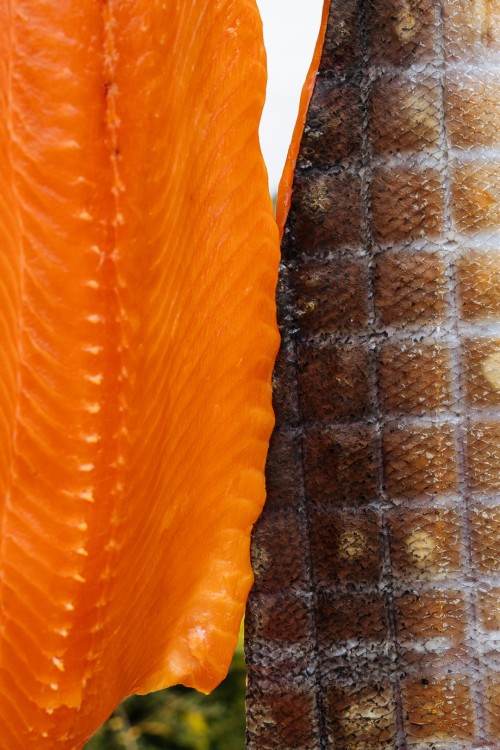 Kojin Salmon Smokers