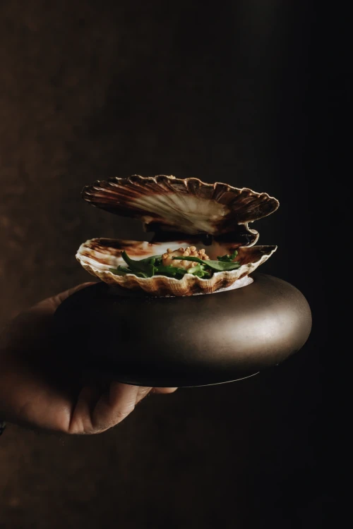 Herberg Stevensweert