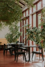 Vonk Gastrobar