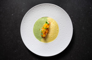 NOVO New Dining