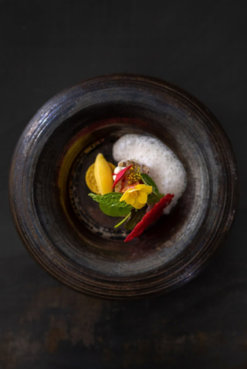 NOVO New Dining