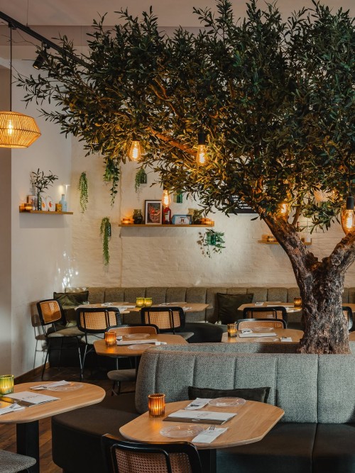 Bar Oliva