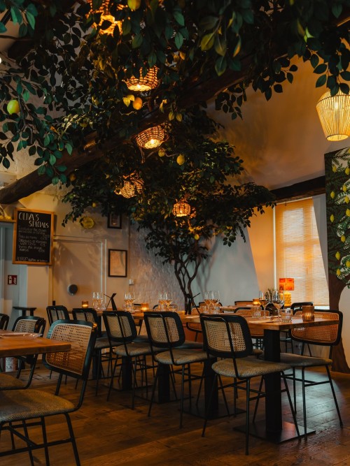 Bar Oliva