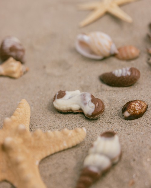 Chocolaterie Van Hoorebeke