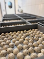 Bakkerij Arto