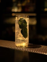 Bar Hootch