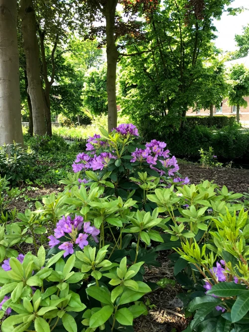B&B Roosendaelhof