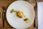 Restaurant Nest