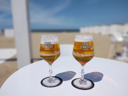 Zoutestrand 19