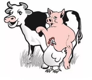 Slagerij Günther en Wendy